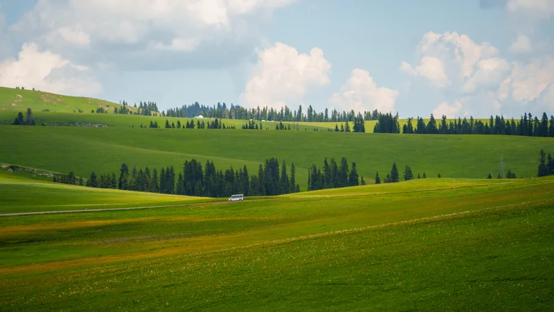 Bands of sunlit grass and darker trees across rolling hills.