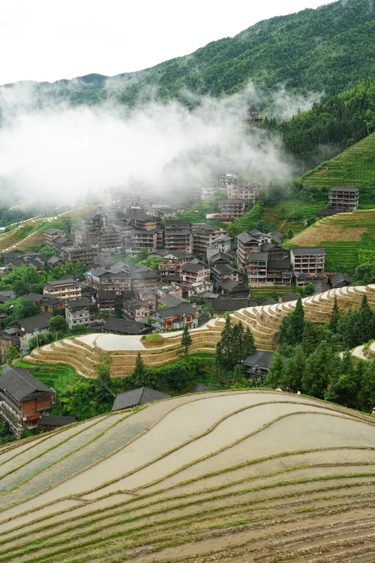 Terraced fields and hillside buildings beneath drifting mist.