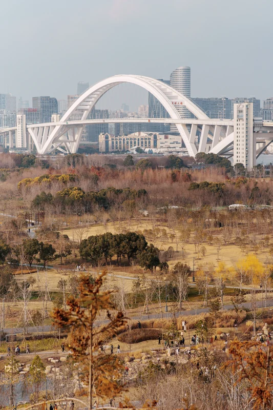 A white arched bridge beyond dry reeds and open ground.