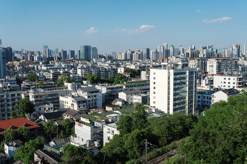 Layers of low rooftops, green trees, and distant high-rise buildings.