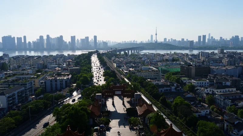 A tree-lined avenue extending toward a distant skyline.
