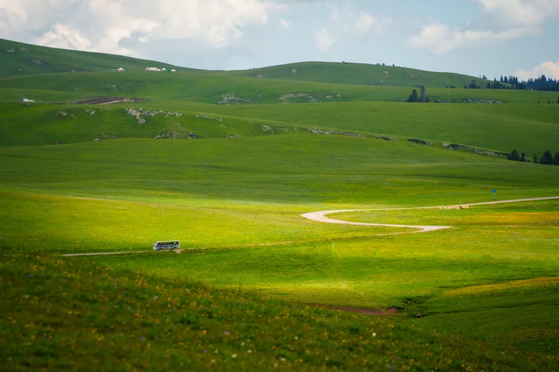 A pale winding path through rolling green grassland.