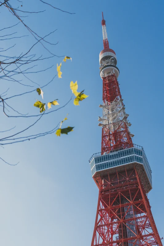 A red and white lattice tower viewed through delicate branches.
